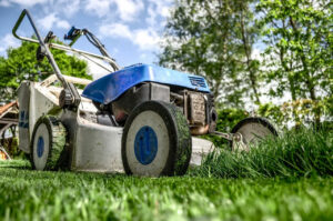 Newbie Gardening Provides Valuable Resources and Advice for Beginner Gardeners