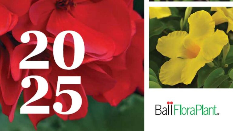 Ball FloraPlant 2025 catalog front page