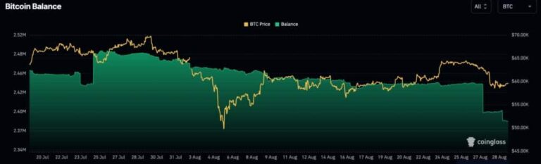 Bitcoin Balances 1024x311