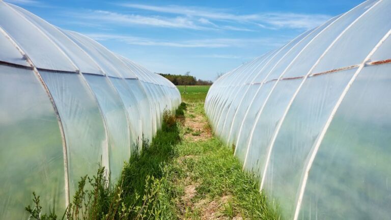 polyethylene film used on makeshift greenhouse tents for exterior cultivation