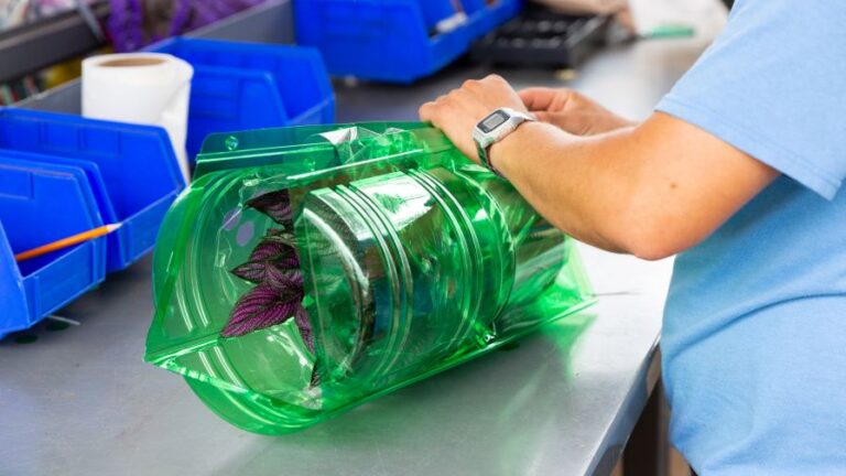 Plant and flower plastic packaging from worker Metrolina Greenhouses