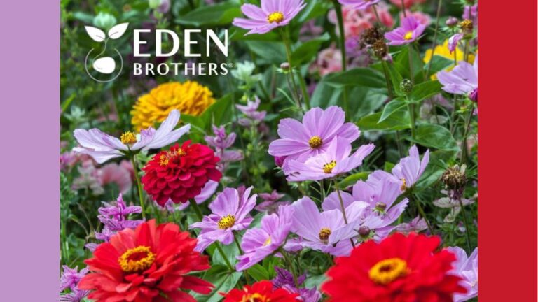 Kian Capital Partners and Eden Brothers