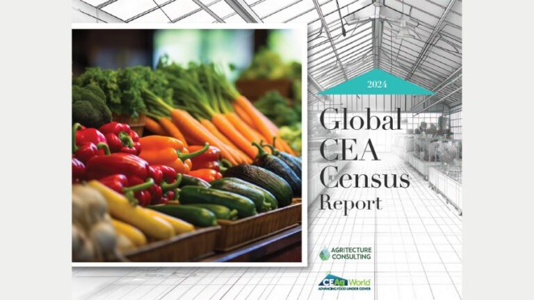 2024 CEA Global Census Report