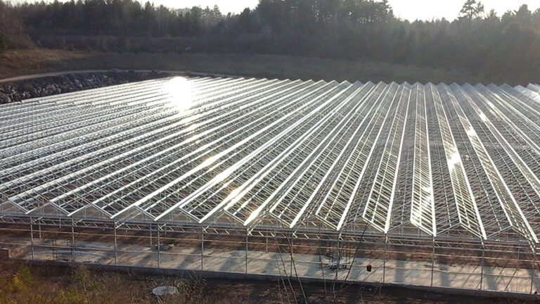 Grower Direct New Build Finished feature