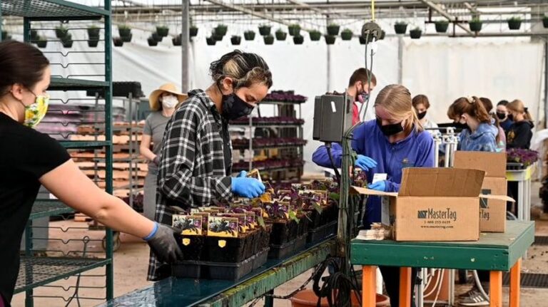 Michigan State University Extension Greenhouse Ag Labor Site